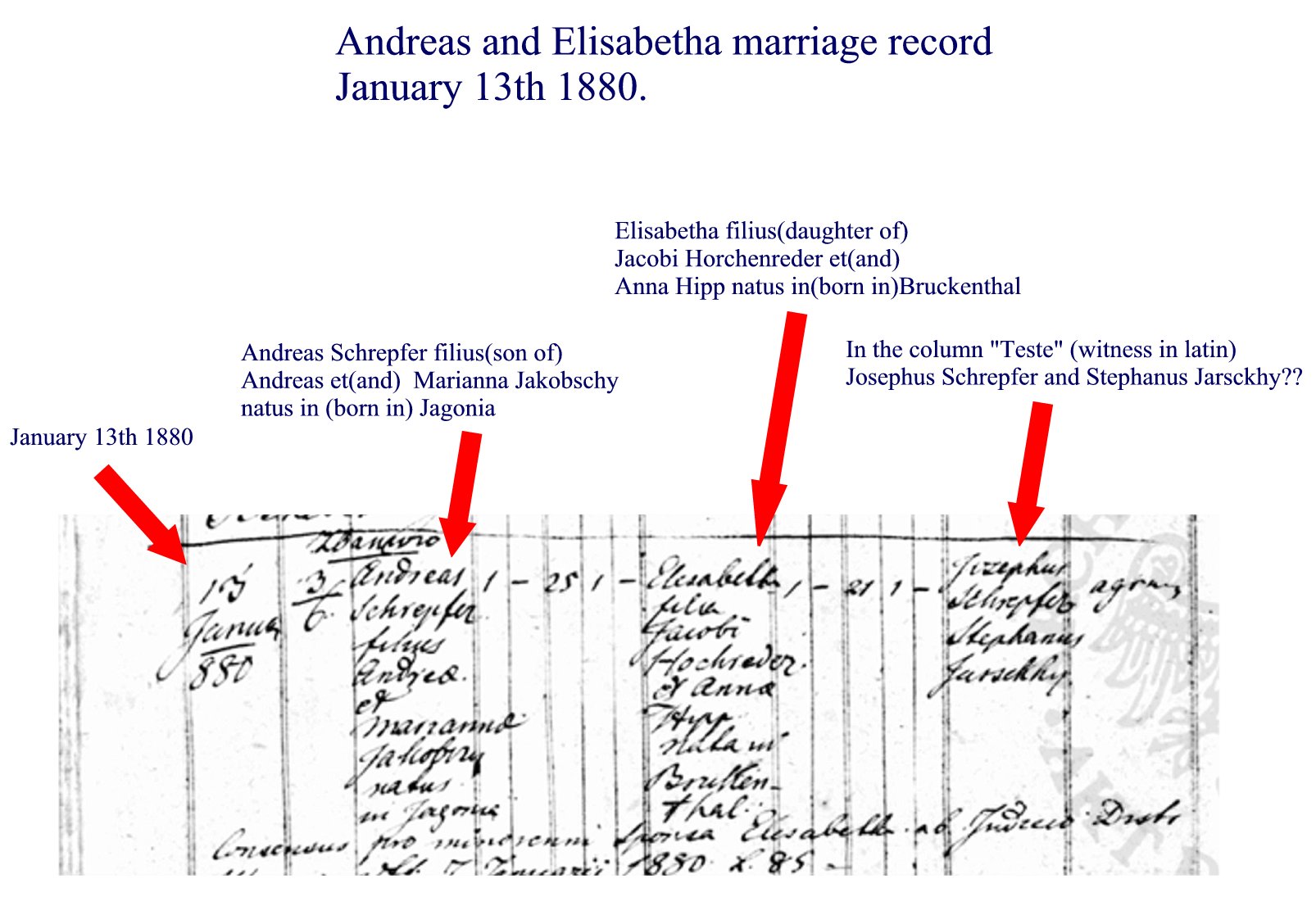 andreas elisabetha schropfer marriage record