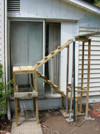 cat outdoor ladder