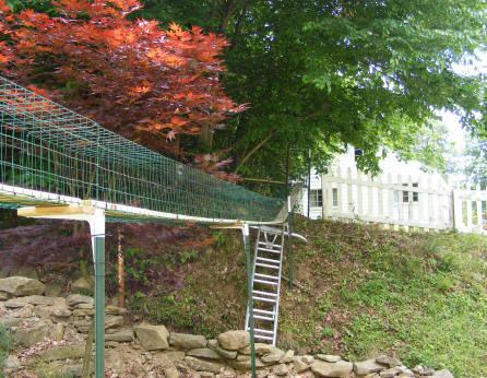 outdoor cat walkway play area