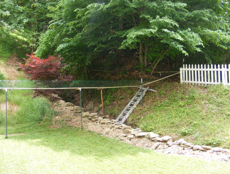 outdoor overhead cat walkway